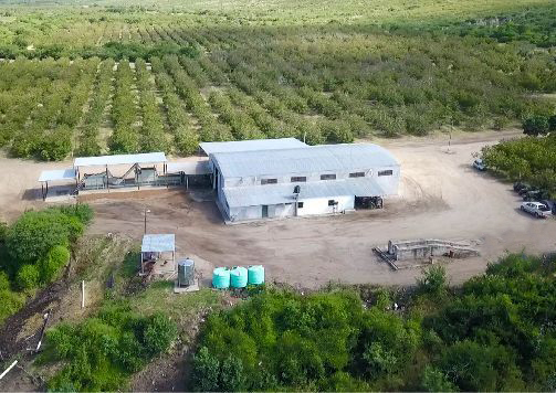 finca-aerea